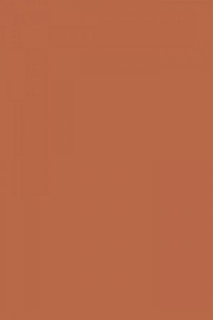 FARROW AND BALL RED EARTH NO. 64 PAINT